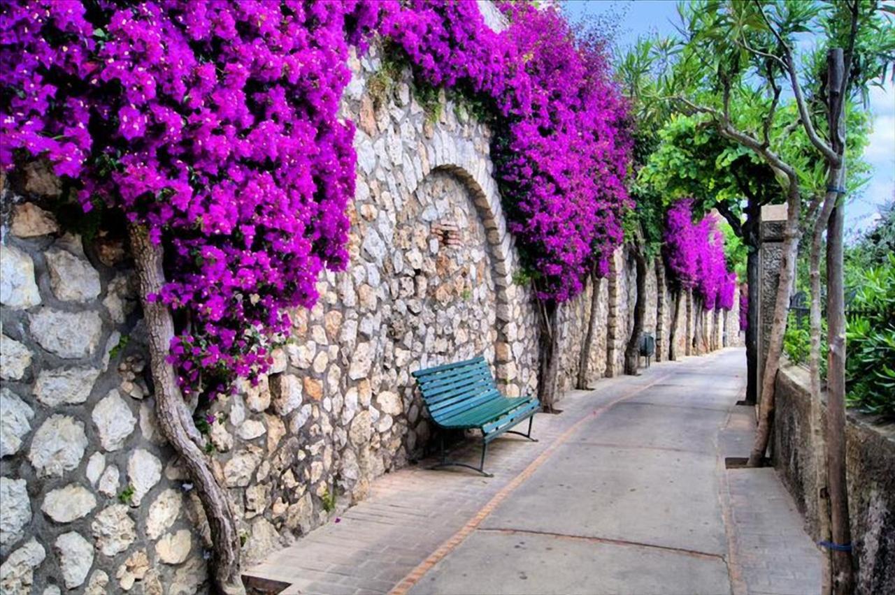 Il Dolce Rifugio Lägenhet Sorrento Exteriör bild